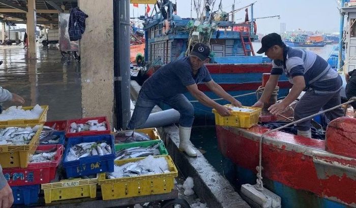 Hoạt động thu mua, vận chuyển hải sản diễn ra nhộn nhịp tại Cảng cá Thọ Quang.