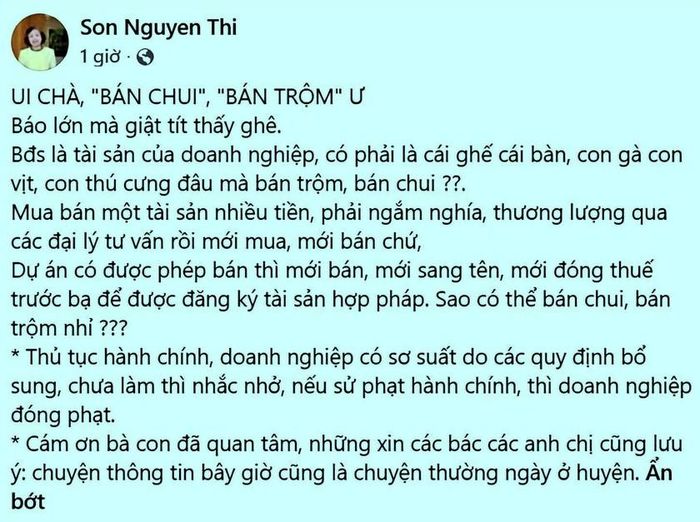 Nguyễn Thị Sơn (người sáng lập hệ sinh thái Sơn Kim) và Sơn Kim Land lên tiếng trên trang cá nhân.