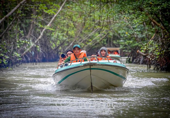 Tour khám phá xuyên rừng U Minh của đoàn Press trip.