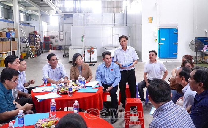 Đoàn giám sát làm việc với đại diện lãnh đạo phường và các doanh nghiệp, HTX.