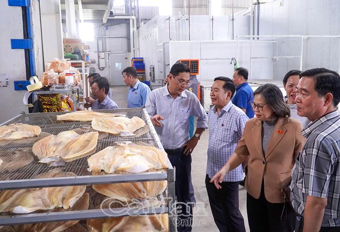 Đoàn giám sát khảo sát thực tế tại hộ kinh doanh đã chuyển đổi thành doanh nghiệp.