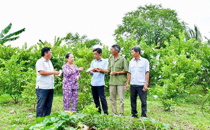 Cán bộ Mặt trận và các đoàn thể Xã Tạ An Khương khảo sát, trao đổi kinh nghiệm phát triển mô hình trồng cây ăn trái tại hộ dân.