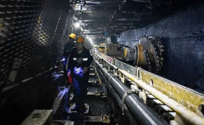 Các nhà nghiên cứu cho rằng những không gian dưới lòng đất này được cách ly khỏi thời tiết bề mặt và các thảm họa tự nhiên, tạo ra những lợi thế riêng cho hoạt động nông nghiệp