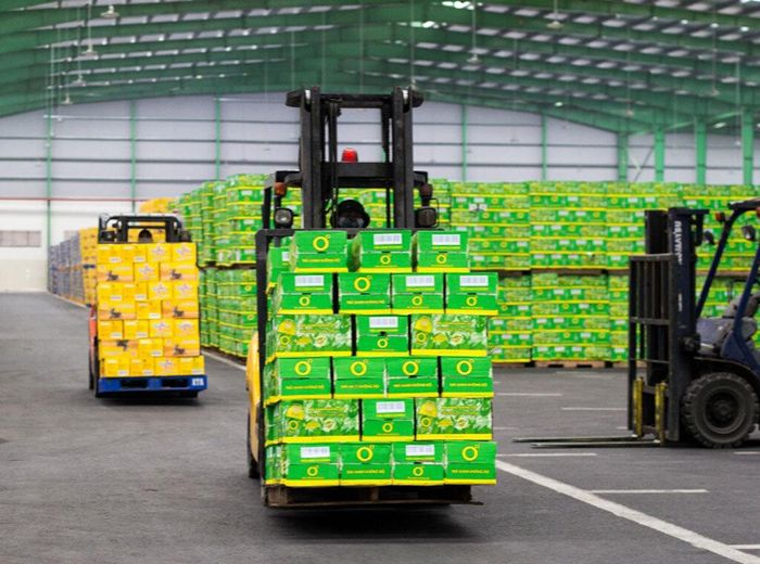 Nếu tiêu chuẩn quốc tế được xem là “tấm hộ chiếu”, thì năng lực duy trì tiêu chuẩn mới là điều quyết định hàng hóa Việt Nam có thể đi bao xa và đứng vững được bao lâu trên thị trường thế giới.