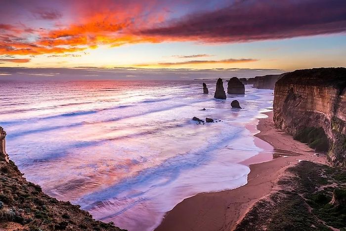 (Ảnh: James Whitlock/Shutterstock)