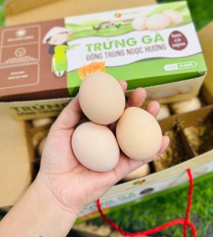 Sản phẩm trứng gà đông trùng được người tiêu dùng ưa chuộng. Ảnh: Hồng Nguyễn
