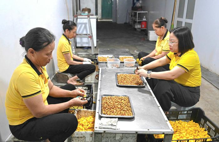 Xưởng sản xuất đông trùng hạ thảo của chị Hồng tạo việc làm cho nhiều lao động địa phương. Ảnh: Hồng Nguyễn