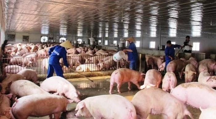 Nguy cơ bùng phát dịch bệnh trong thời gian tới rất cao. Ảnh: PV