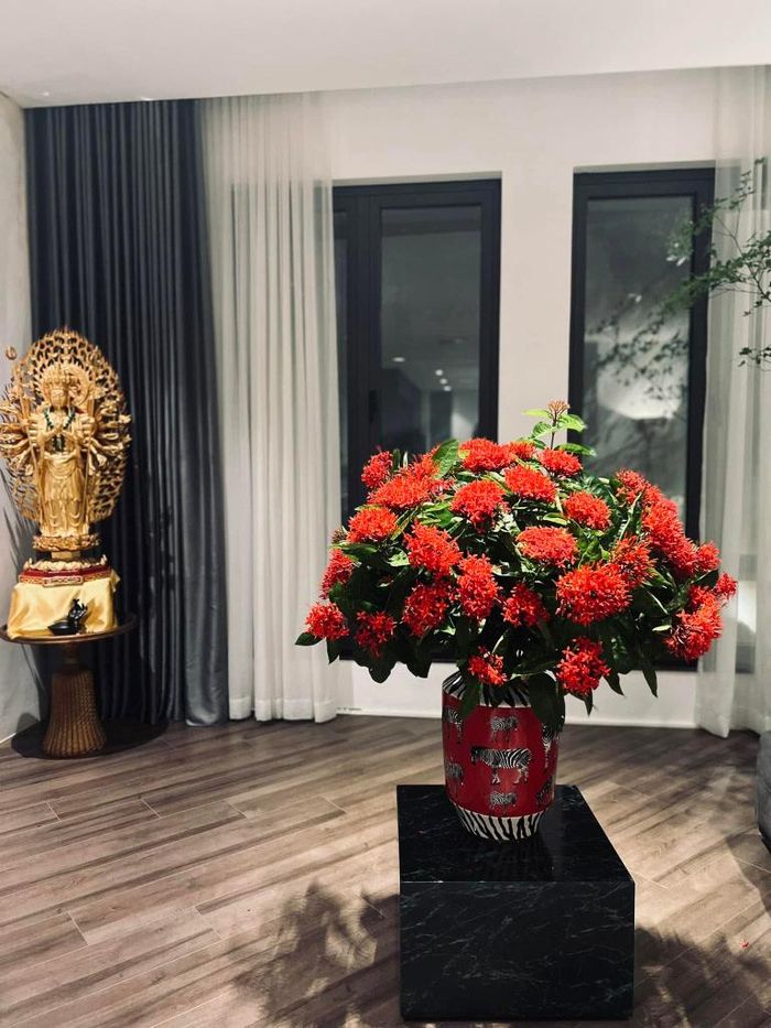 Tổng thể tạo nên góc nhìn hài hòa, tinh tế.