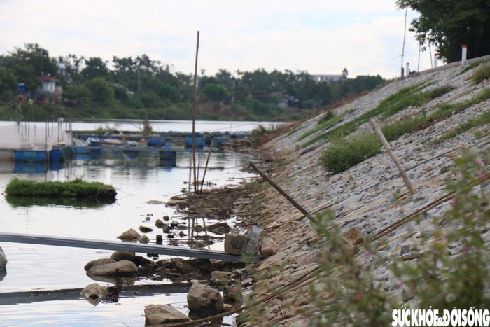 Kè chống sạt lở qua địa bàn xã Đan Điền chuẩn bị nghiệm thu, bàn giao. Ảnh: H.D.