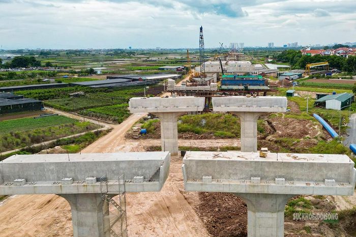Các trụ cầu nối tiếp nhau dần định hình hướng tuyến. Ảnh: T.Anh