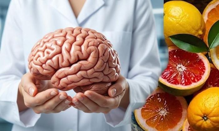 Não bộ đảm nhiệm nhiều chức năng quan trọng nên cần được chăm sóc và nuôi dưỡng thường xuyên. Ảnh AI