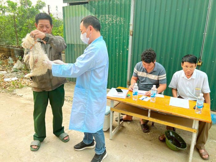  8 ổ dịch dại trên chó được ghi nhận tại Hà Nội trong năm 2026. Ngành y tế cảnh báo người dân không chủ quan khi bị chó, mèo cắn, cào. Ảnh: CDC Hà Nội. 