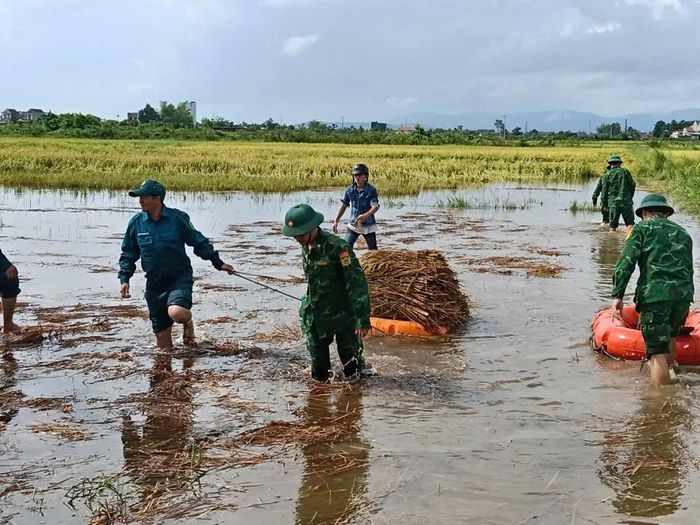 Cán bộ, chiến sĩ không quản ngại mưa gió giúp dân cứu lúa