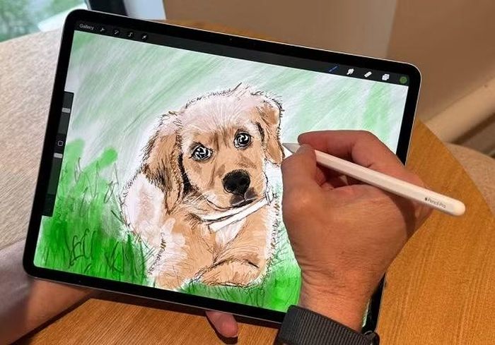 iPad được người dùng yêu thích cho các tác vụ như vẽ tranh