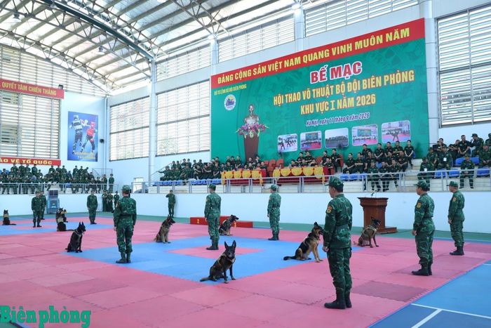 Đội chó nghiệp vụ Trường Trung cấp 24 Biên phòng tham gia biểu diễn tại buổi bế mạc hội thao. Ảnh: Ngọc Lâm