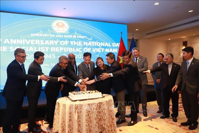 Đại sứ Nguyễn Nam Dương, Đại sứ Mohamed Abou Bakr Saleh, Thứ trưởng Ngoại giao Cộng hòa Arab Ai Cập cùng Đại sứ các nước chung tay cắt bánh chào mừng tại lễ kỷ niệm.