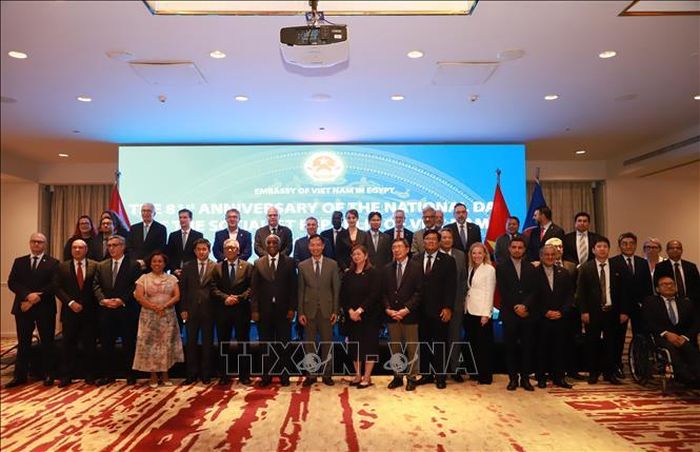 Đại sứ Nguyễn Nam Dương, Đại sứ Mohamed Abou Bakr Saleh, Thứ trưởng Ngoại giao Cộng hòa Arab Ai Cập cùng Đại sứ, đại diện ngoại giao các nước tại lễ kỷ niệm.