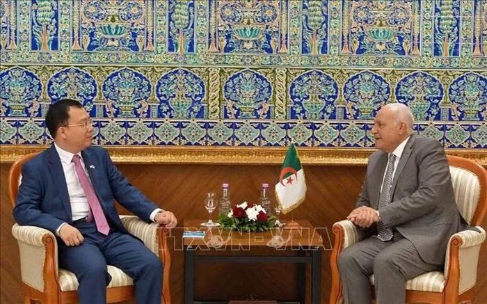 Bộ trưởng Bộ Ngoại giao, Cộng đồng người Algeria ở nước ngoài và các vấn đề châu Phi Ahmed Attaf tiếp Đại sứ Vũ Duy Long. Ảnh: TTXVN phát