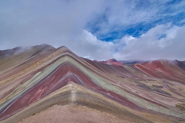 Ảnh: Richard Espenant/Shutterstock