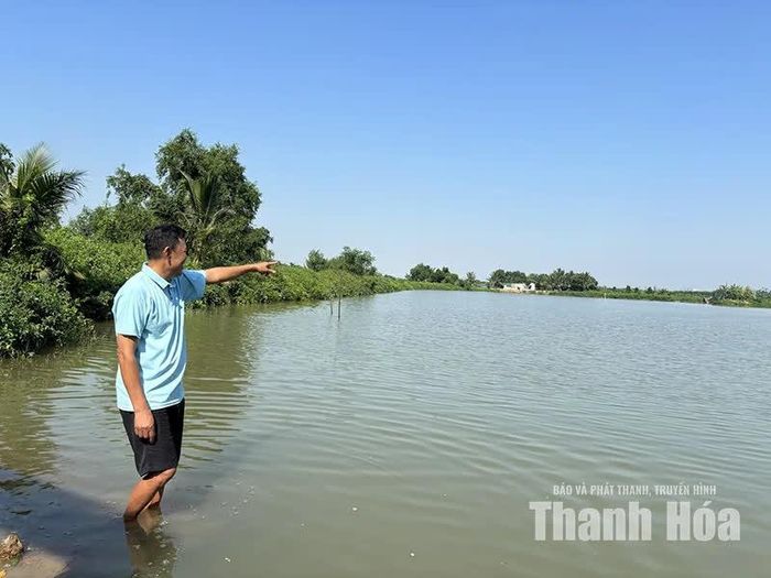 Ông Nguyễn Hữu Tuấn đang tìm hướng đi mới cho đồng tôm của mình.