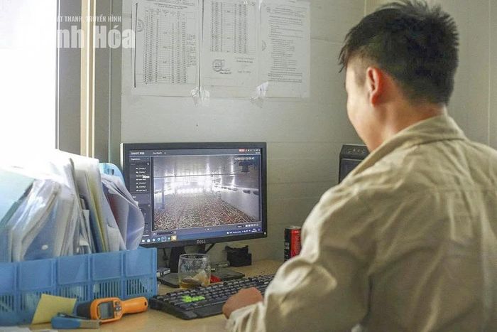 Kỹ thuật viên trang trại chăn nuôi gà giống Xuân Phú, xã Sao Vàng theo dõi dữ liệu tình trạng đàn vật nuôi thông qua hệ thống camera tích hợp AI.