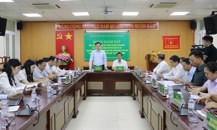  Quang cảnh buổi làm việc. 