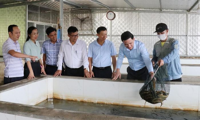  Đoàn giám sát khảo sát thực tế hoạt động tại Hợp tác xã Thủy sản Sông Cầu (phường Nếnh). 