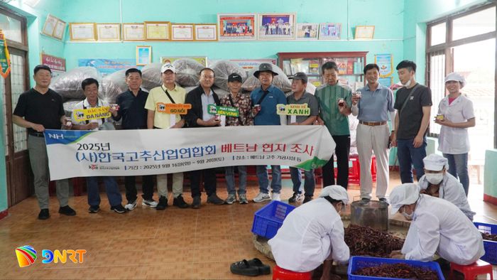 Đoàn Hàn Quốc thăm khu sản xuất sản phẩm từ ớt tại xã Gò Nổi. Ảnh: PHAN VINH