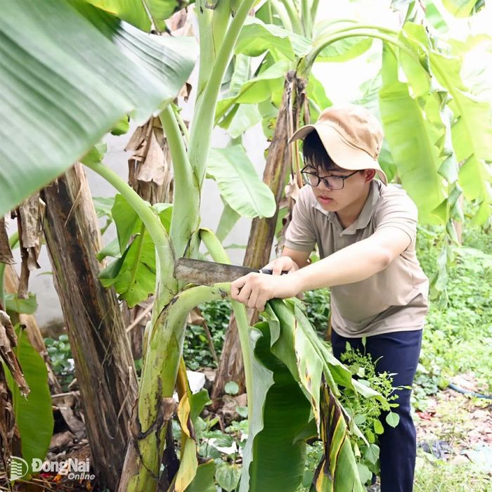 Phía sau dáng vẻ thư sinh là nỗi lo của một người “trụ cột” tuổi 15, đang cố gắng gánh vác gia đình. Ảnh: Thu Hiền