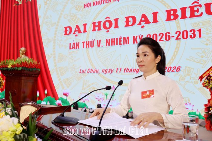 Đại biểu tham luận tại đại hội.