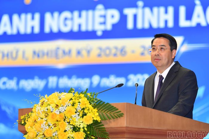 Đồng chí Nguyễn Tuấn Anh - Phó Bí thư Tỉnh ủy, Chủ tịch UBND tỉnh phát biểu tại đại hội.
