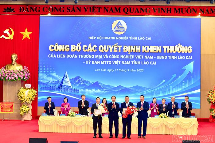 VCCI tặng Kỷ niệm chương "Vì sự phát triển doanh nghiệp Việt Nam" cho các đồng chí lãnh đạo tỉnh.
