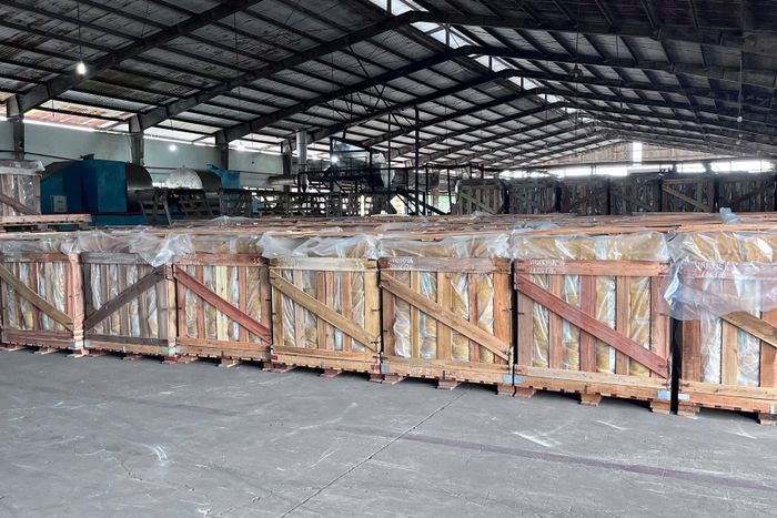 Giá bán mủ cao su ở mức cao giúp hoạt động sản xuất, chế biến xuất khẩu đạt hiệu quả kinh tế