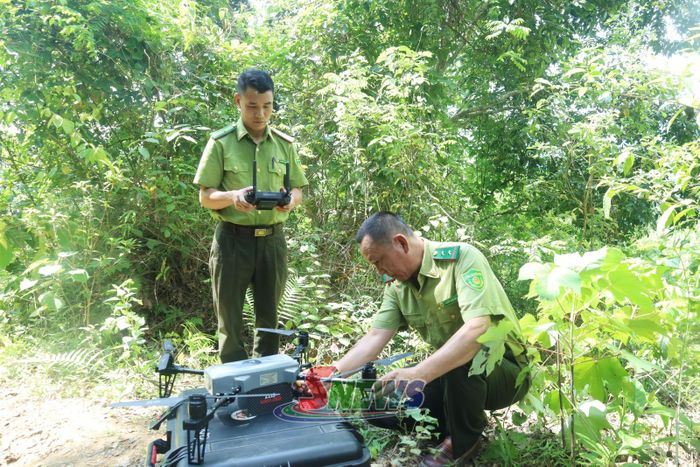 Hạt Kiểm lâm Khu vực I sử dụng thiết bị bay không người lái trong giám sát biến động rừng.