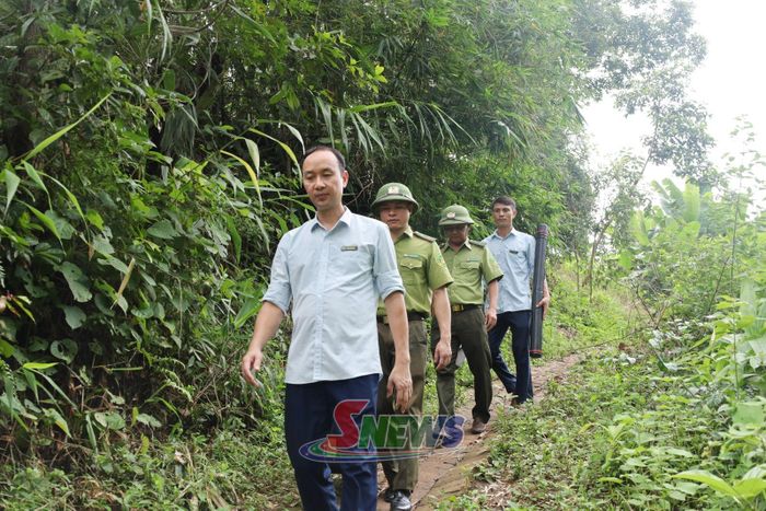 Cán bộ Hạt Kiểm lâm khu vực I và Chi nhánh khu vực VI, Quỹ Bảo vệ và Phát triển rừng tỉnh, kiểm tra công tác bảo vệ rừng tại xã Mường Giôn.