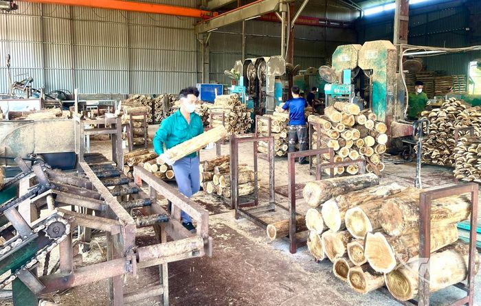 Thái Nguyên hiện có trên 800 doanh nghiệp hoạt động trong lĩnh vực khai thác, chế biến gỗ, từng bước hình thành hệ thống sản xuất, chế biến lâm sản với quy mô ngày càng đa dạng.