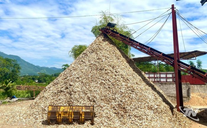Tận dụng gỗ băm và phụ phẩm giúp nâng cao giá trị nguyên liệu, tăng hiệu quả kinh tế trong chế biến gỗ.