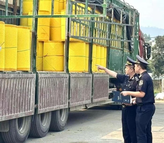 Hải quan lý giải: Không thể coi giấy kiểm tra chất lượng là “giấy phép nhập khẩu”. Ảnh: CTVHQ