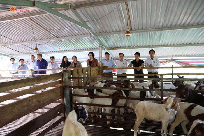 Đoàn giám sát khảo sát thực tế một số công trình, dự án và mô hình hỗ trợ người dân trên địa bàn xã