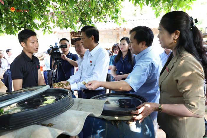 Đoàn giám sát của Hội đồng Dân tộc khảo sát một số công trình, dự án và mô hình hỗ trợ người dân trên địa bàn xã