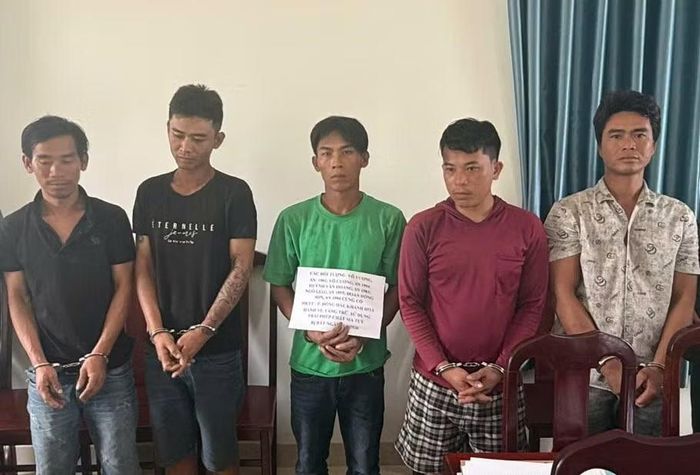 Bắt giữ 5 thuyền viên về tội tàng trữ, tổ chức sử dụng trái phép chất ma túy.