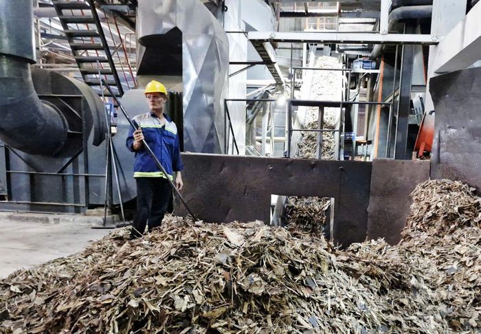 Nguyên vật liệu đốt lò hơi của doanh nghiệp được sử dụng hoàn toàn bằng vụn gỗ. Ảnh: Hoàng Văn