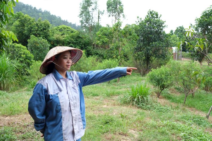Chị Trần Thị Tuyết, thôn Phú Sơn, xã Kim Anh trên mảnh đất 8.540m² của gia đình thuộc phạm vi dự án. Ảnh: Sỹ Hào