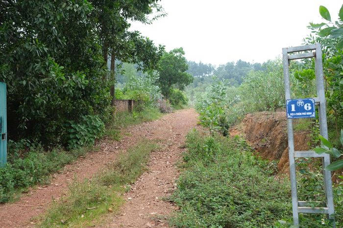 Trong khu vực triển khai dự án, hiện còn 95 thửa đất chưa xác định được chủ. Ảnh: Sỹ Hào