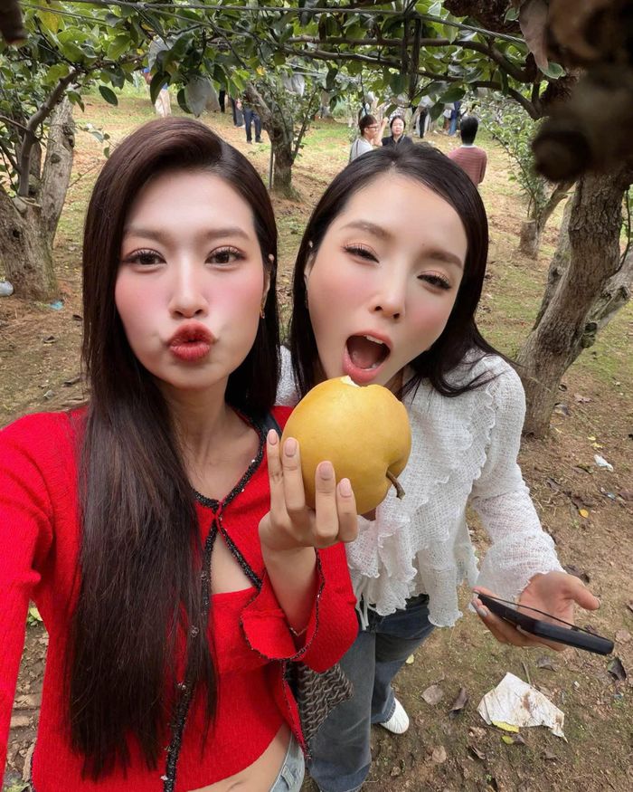 "Ngày đầu tiên trong chuỗi hoạt động quảng bá nông sản Hàn Quốc. Thật sự bọn mình biết thêm về nhiều loại lê tại Hàn Quốc rất ngon trong chuyến đi lần này", Đoàn Thiên Ân viết trên trang cá nhân.