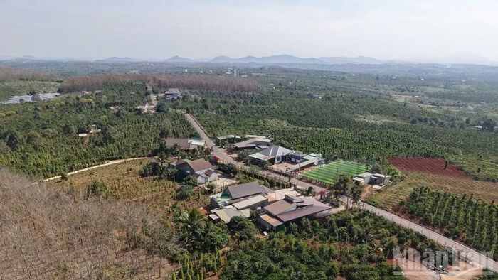 Lâm Đồng tiếp tục tập trung xử lý, làm sạch, đồng thời rà soát, chuyển đổi dữ liệu đồng bộ với dữ liệu dân cư.