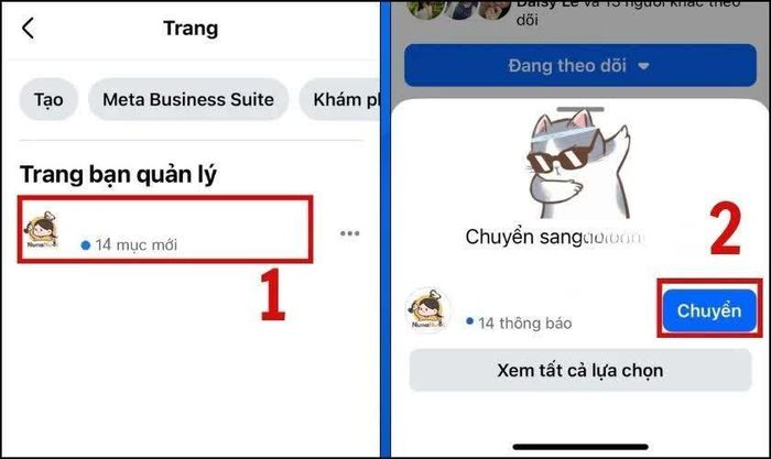 Tiếp theo, chọn Trang đang quản lý.