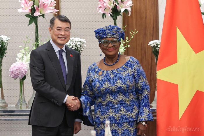 Thủ tướng Lê Minh Hưng tiếp Tổng Giám đốc WTO Ngozi Okonjo-Iweala. Ảnh: VGP