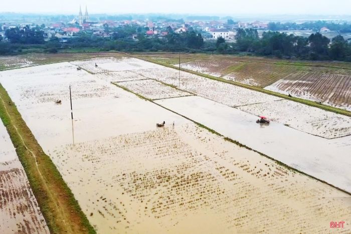 Cơ giới hoá 100% khâu làm đất trên cánh đồng 30 ha lúa sản xuất theo hướng hữu cơ của HTX Thương mại, Dịch vụ Nông nghiệp Hạ Vàng.